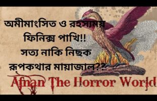 অমীমাংসিত ও রহস্যময় ফিনিক্স পাখি!! সত্য নাকি নিছক রূপকথার মায়াজাল??